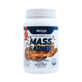 Гейнер высокоуглеводный Geneticlab Mega mass Gainer 10 порций 1000 гр #1