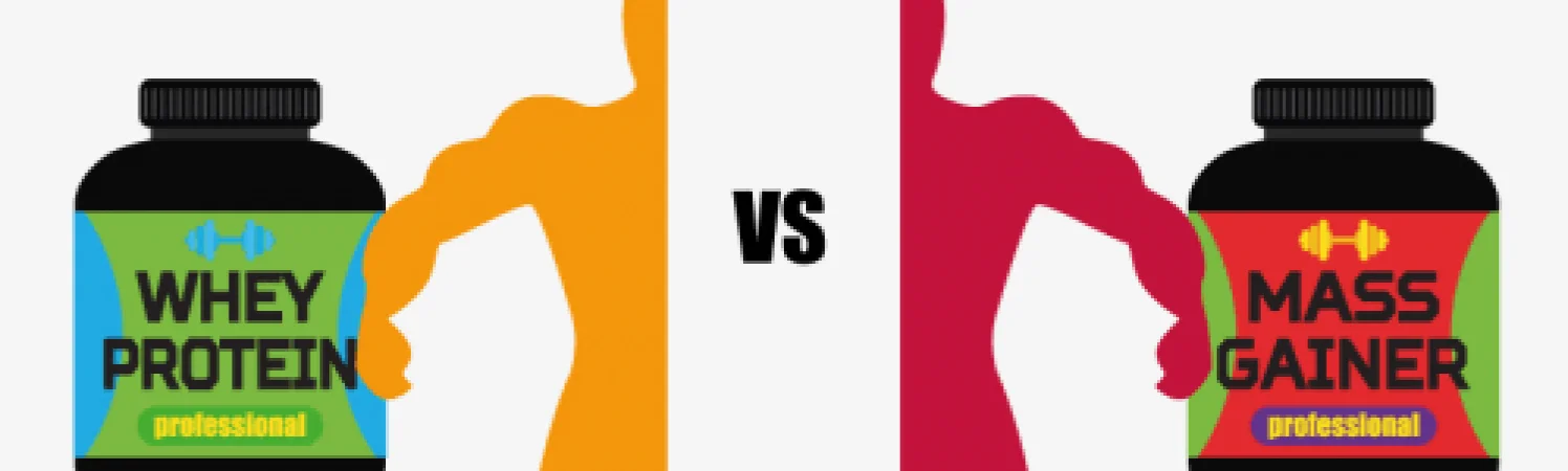 Гейнер или протеин? Что лучше?