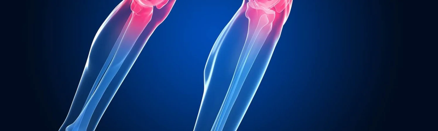 Глюкозамин и хондроитин: для здоровья суставов и связок.