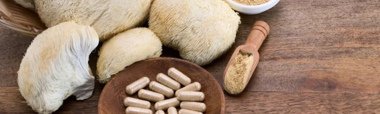 Ежовик гребенчатый: для чего нужен, как принимать, польза и вред для мозга.