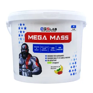 Гейнер высокоуглеводный Gss Lab Mega mass 50 порций 5000 г #1